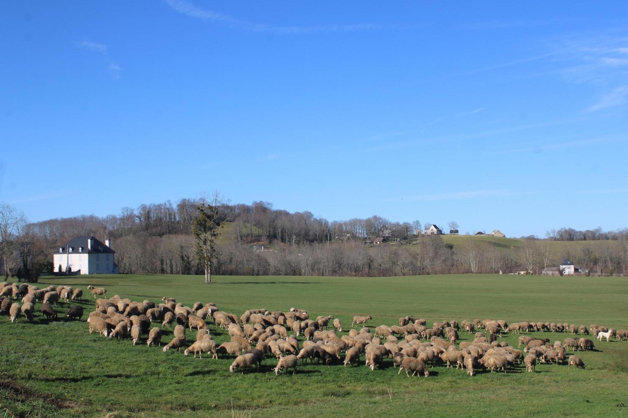 Gite Maison Chourrist Capbis Esterno foto