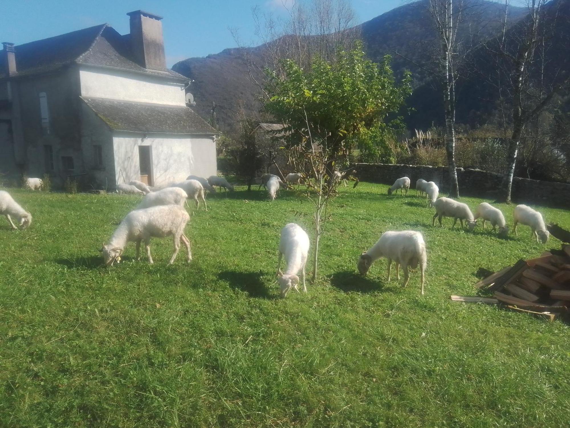 Gite Maison Chourrist Capbis Esterno foto